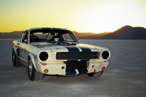 1966 Shelby bg creative